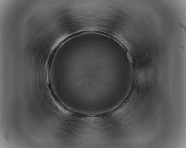 X0000091461127200708231311