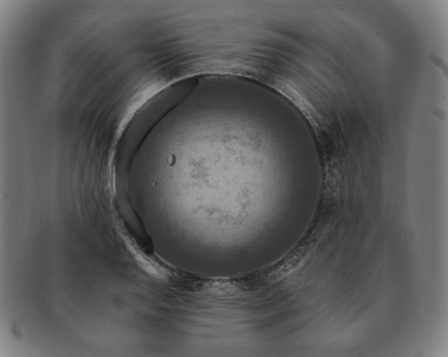 X0000091461128200708231311