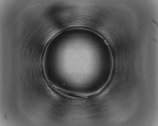 X0000091461129200708231311