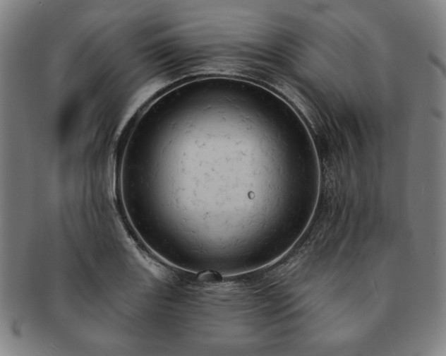X0000091461131200708231311
