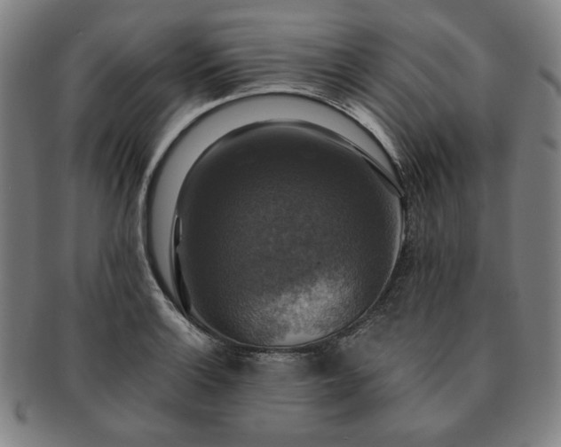 X0000091461132200708231311