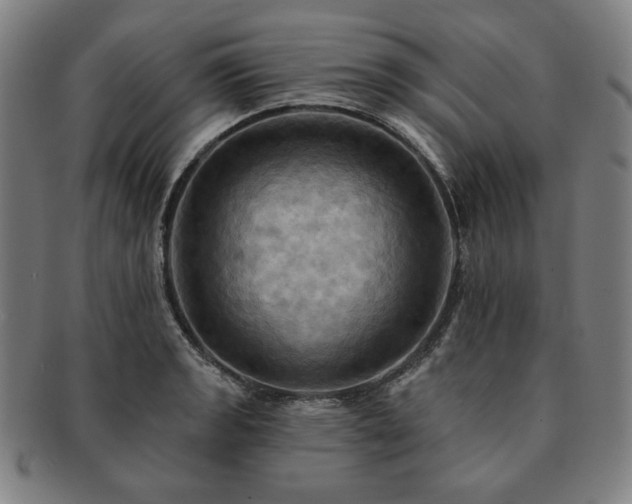X0000091461133200708231311
