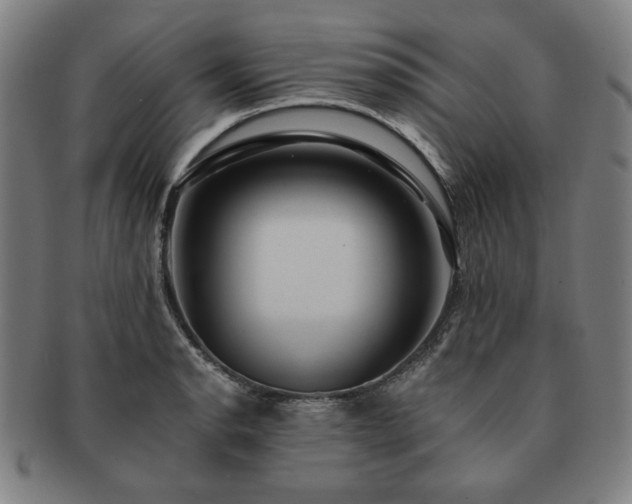 X0000091461134200708231311
