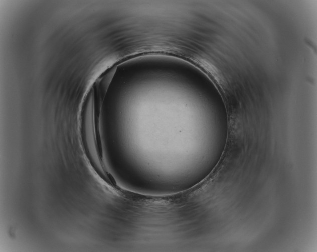 X0000091461135200708231311