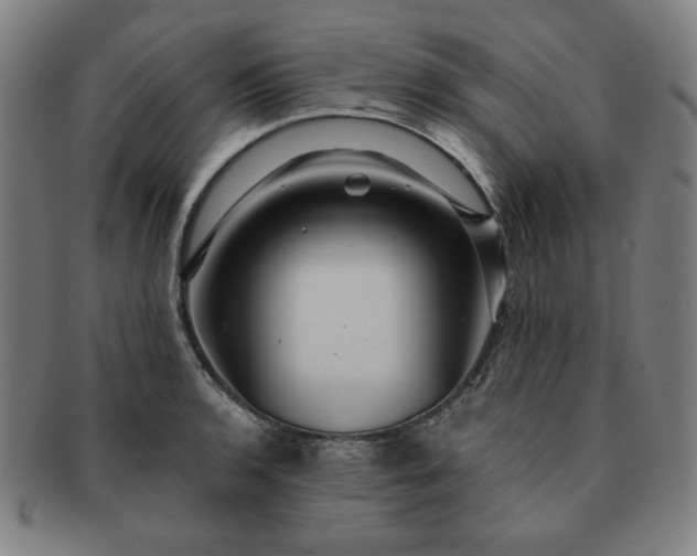 X0000091461136200708231311