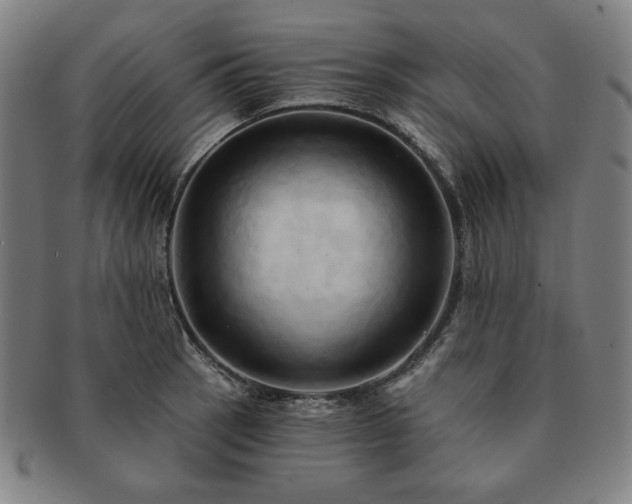 X0000091461137200708231311