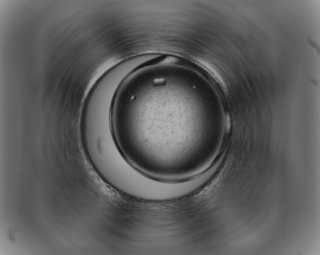 X0000091461138200708231311