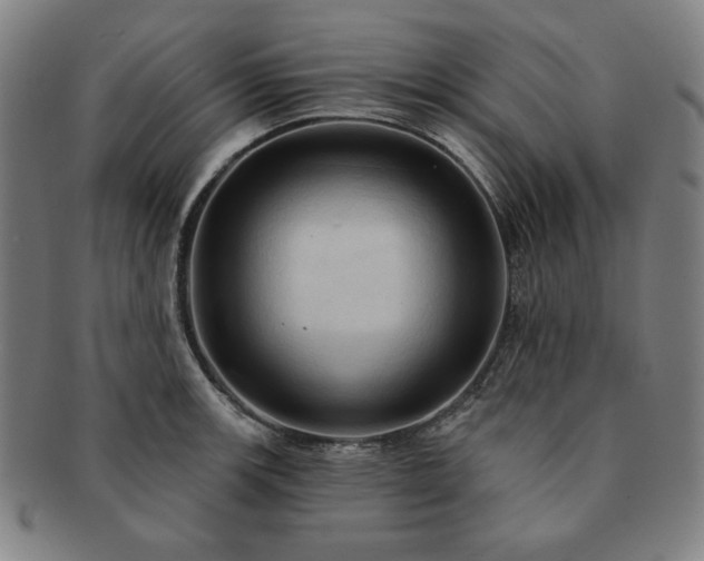 X0000091461139200708231311