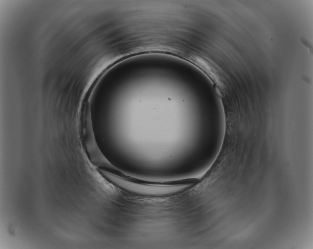 X0000091461140200708231311