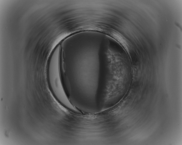 X0000091461141200708231311