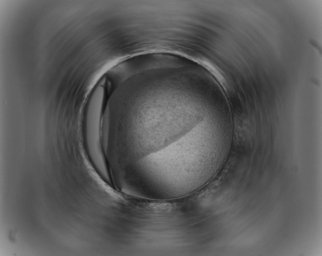 X0000091461142200708231311