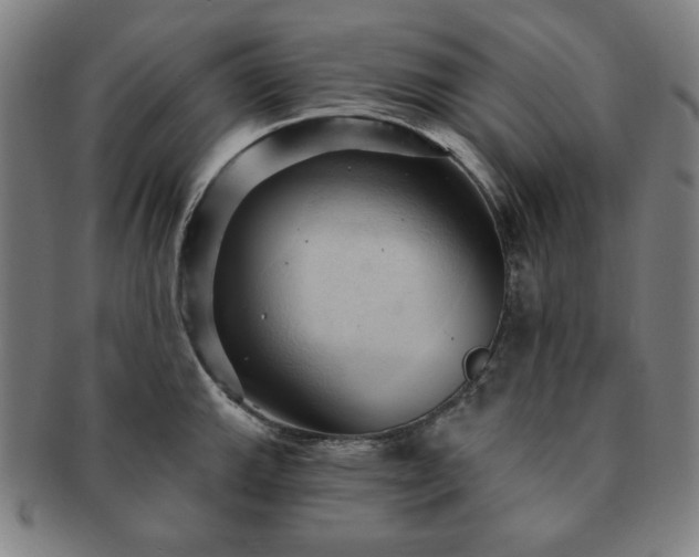 X0000091461143200708231311