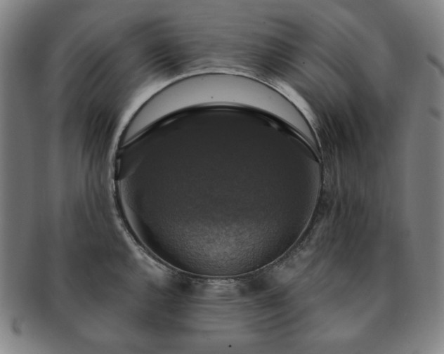 X0000091461144200708231311