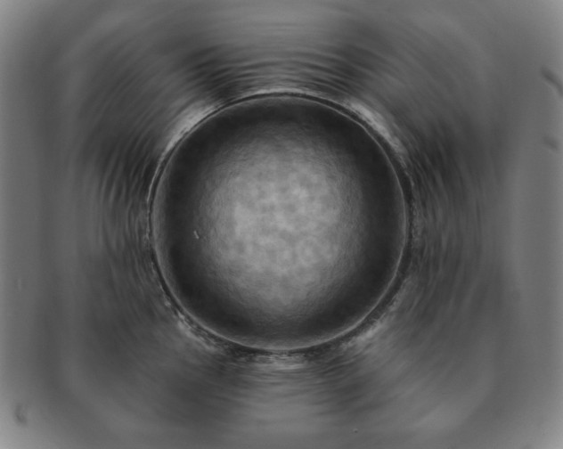 X0000091461145200708231311