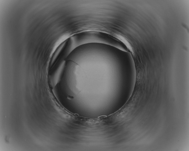 X0000091461146200708231311