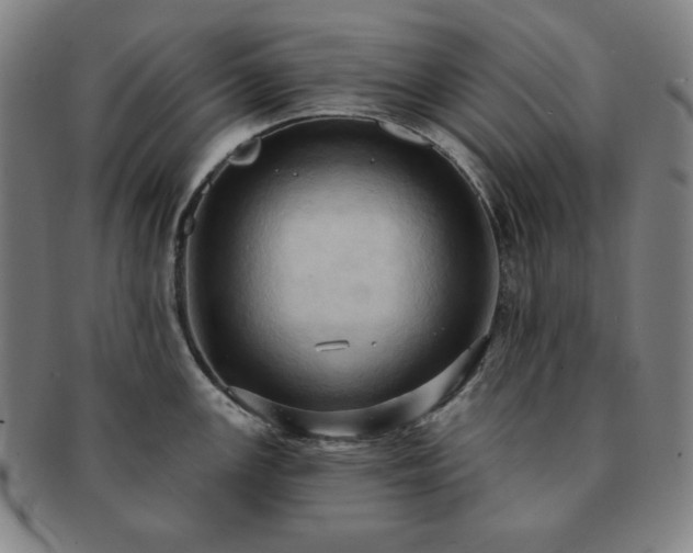 X0000091461147200708231311