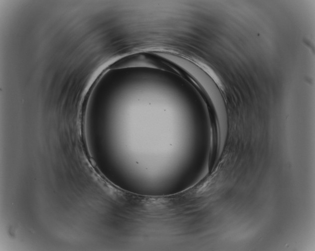 X0000091461148200708231311