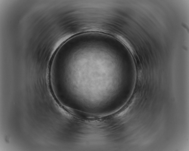 X0000091461149200708231311