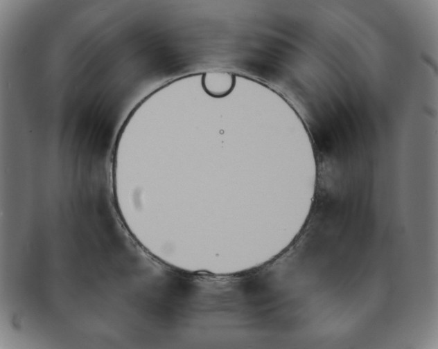 X0000091461150200708231311