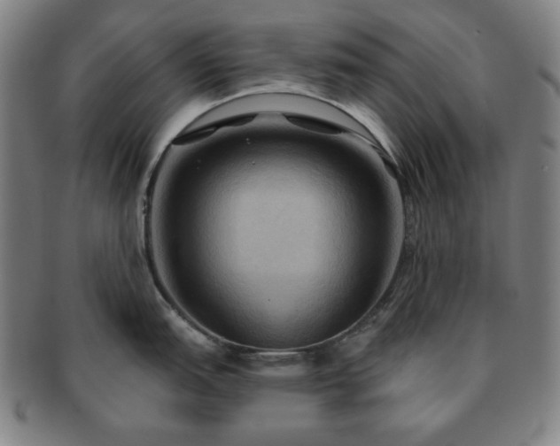 X0000091461151200708231311