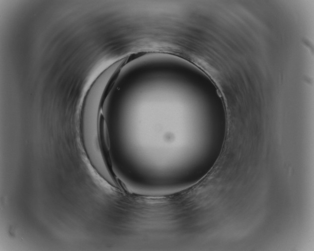 X0000091461152200708231311