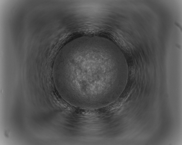 X0000091461153200708231310