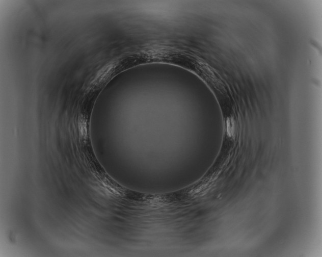 X0000091461155200708231310