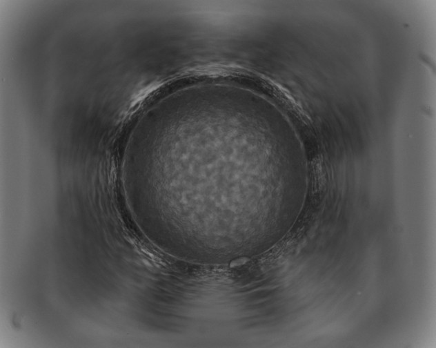 X0000091461158200708231310