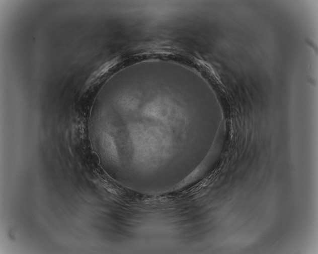 X0000091461159200708231310