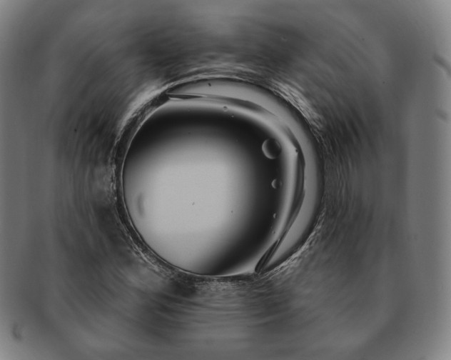 X0000091461164200708231310