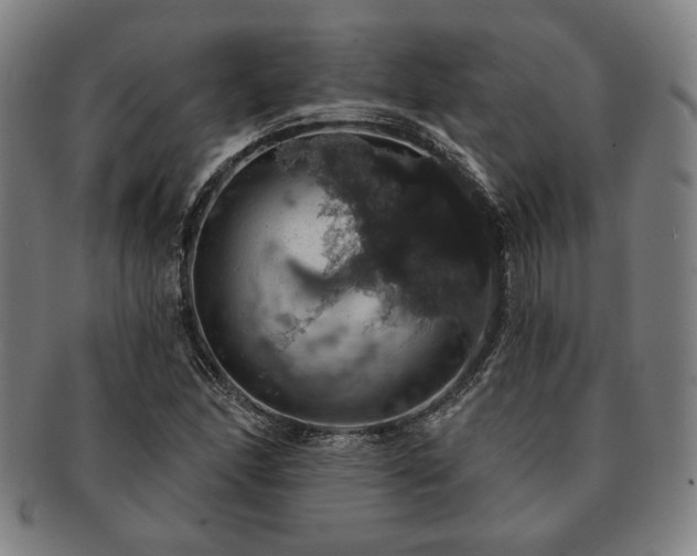 X0000091461166200708231310