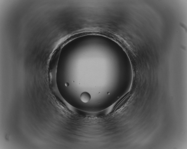 X0000091461168200708231310