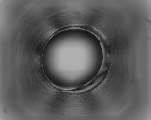 X0000091461169200708231310