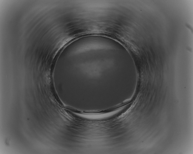 X0000091461170200708231310