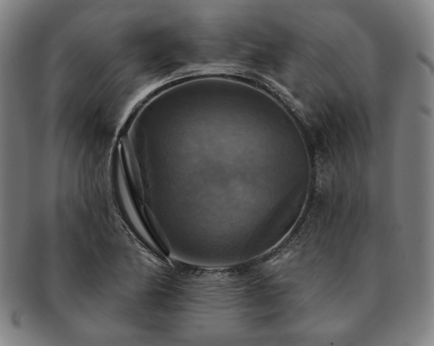 X0000091461174200708231310
