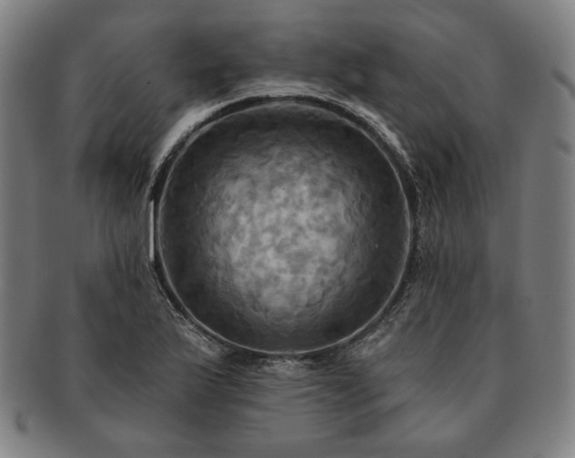 X0000091461175200708231310