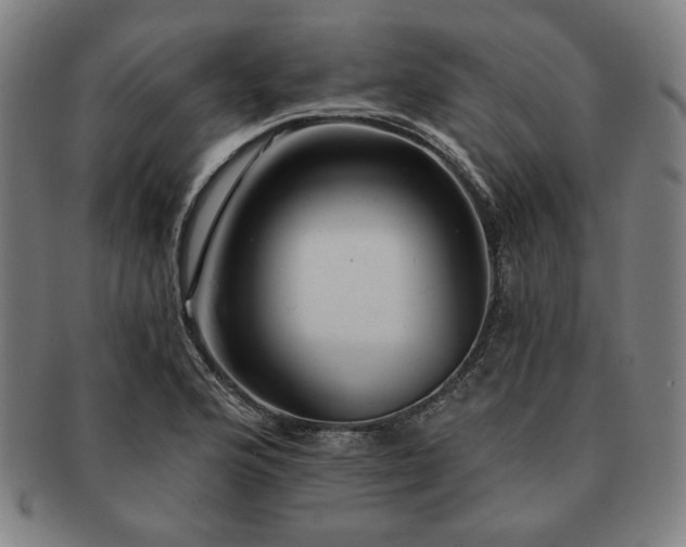 X0000091461176200708231310