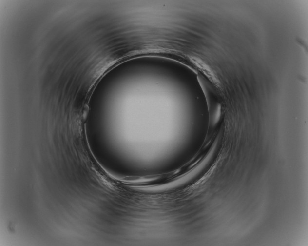 X0000091461177200708231310