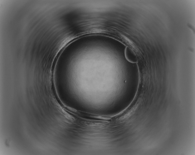 X0000091461178200708231310