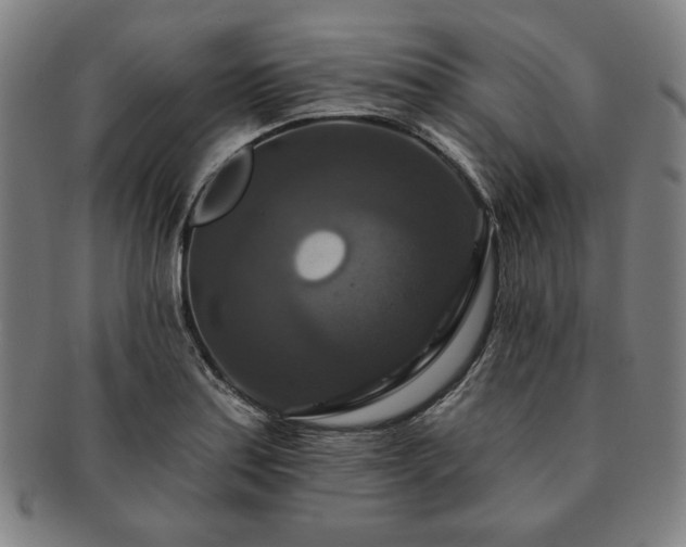 X0000091461179200708231310