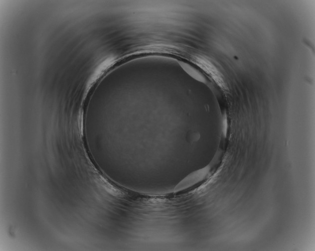 X0000091461180200708231310