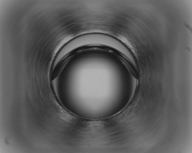 X0000091461181200708231310