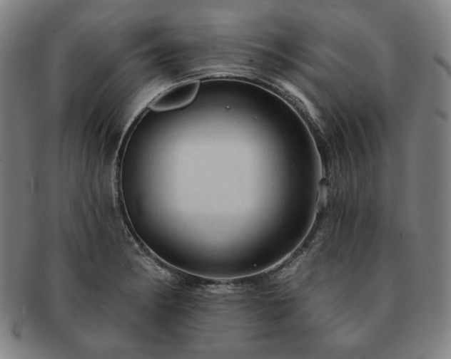 X0000091461182200708231310