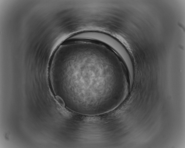 X0000091461183200708231310