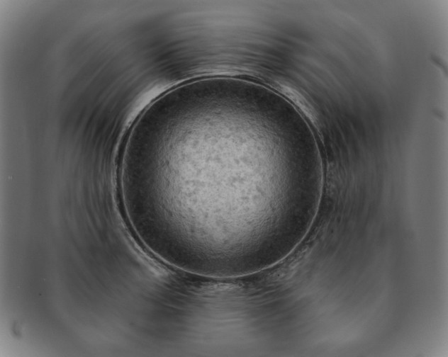 X0000091461187200708231310