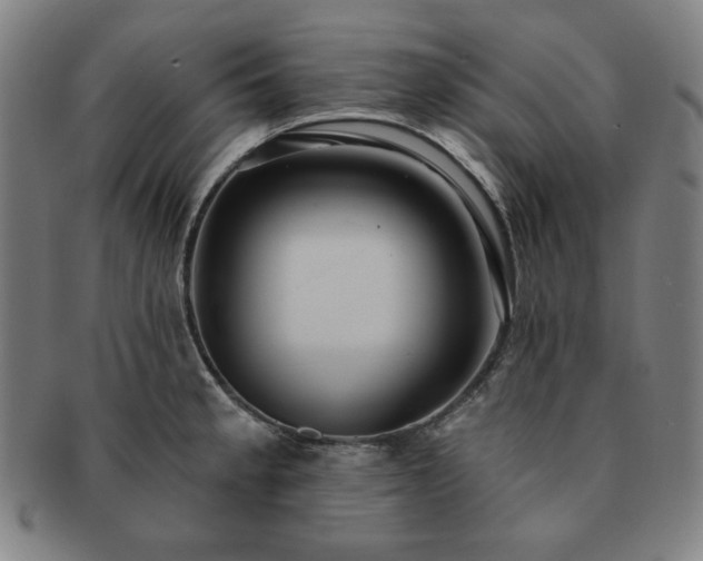 X0000091461189200708231310
