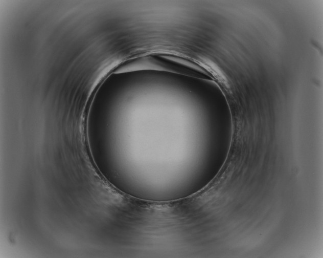 X0000091461190200708231310