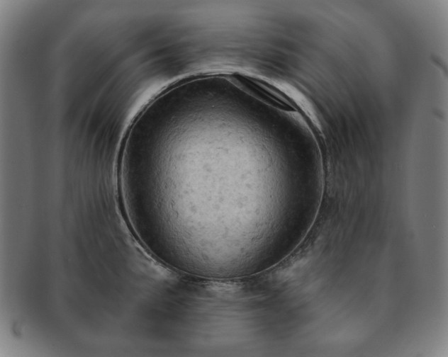 X0000091461191200708231310
