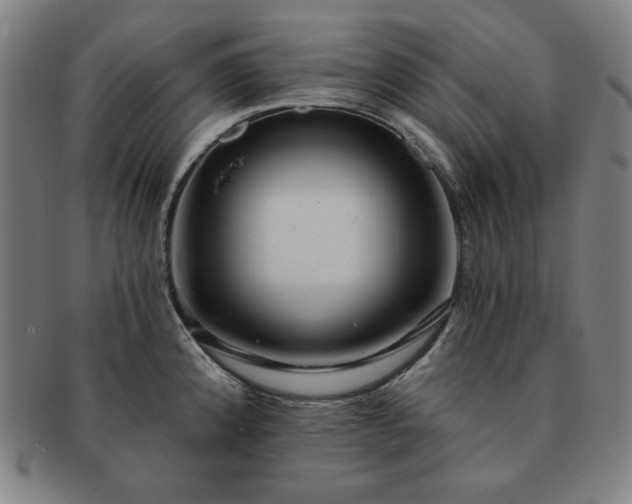 X0000091461192200708231310