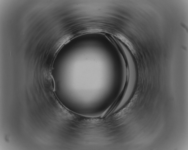 X0000091461193200708231310